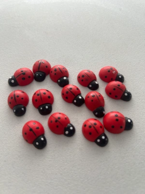 Coccinelles — image 1
