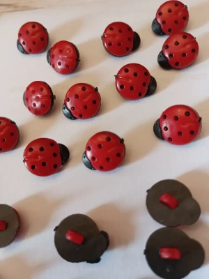 Boutons coccinelle 🐞 large