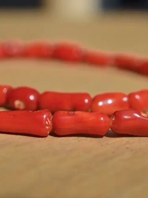 Fil corail bambou rouge 6x9 mm — image 3