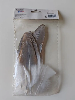 10 plumes à bout doré — image 2