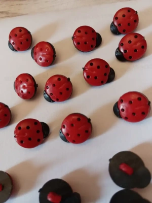 Boutons coccinelle 🐞 mini