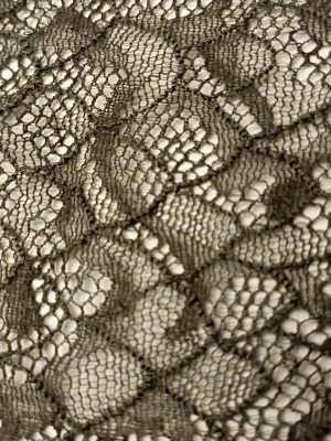 dentelle élastique Kaki — image 2