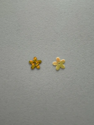 Fleurs — image 3
