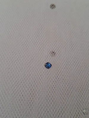Coupon  de tulle blanc à strass — image 2