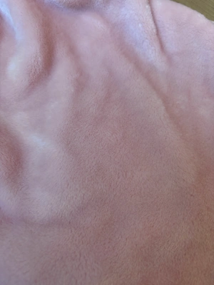Tissu Doudou rose poudré — image 1
