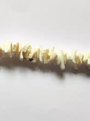 Perles de coquillage blanc — image 1