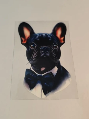 STICKERS UVDTF — image 1