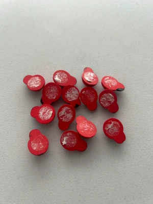 Coccinelles — image 2